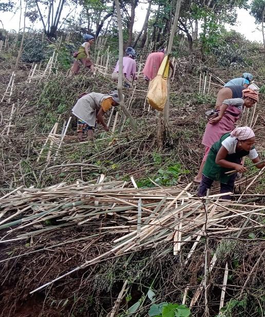 C:\Users\Nitro5\Downloads\mewan yt\WhatsApp Image 2023-03-14 at 6.51.15 PM.jpeg